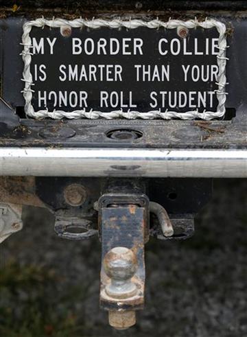 (AP Photo/Orlin Wagner). A personalized tag, describing Border Collies which are used as farm service dogs, hangs on a truck near Maysville, Mo., Wednesday, Aug. 19, 2015.