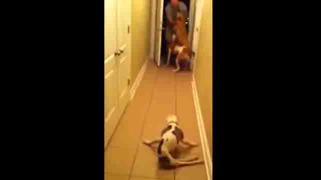 YouTube: melswanson502