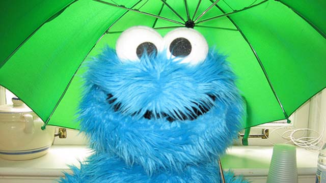 Flickr (http://www.flickr.com/photos/bsabarnowl/)