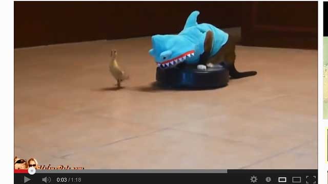 YouTube: texasgirly1979