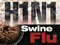22 more Mass. cases of swine flu
