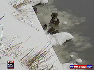 dumping6_20110201.mxf