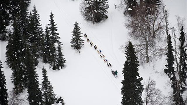 A musher competing in the Iditarod Trail Sled Dog Race heads toward the Finger Lake, Alaska, checkpoint on Monday, March 5, 2012. (AP Photo/Anchorage Daily News, Marc Lester)