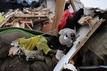 Most of Japan Tsunami Victims Elderly
